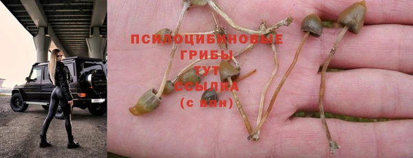 mix Армянск