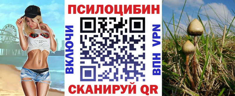 KRAKEN вход  Валдай  даркнет клад  Псилоцибиновые грибы Magic Shrooms 